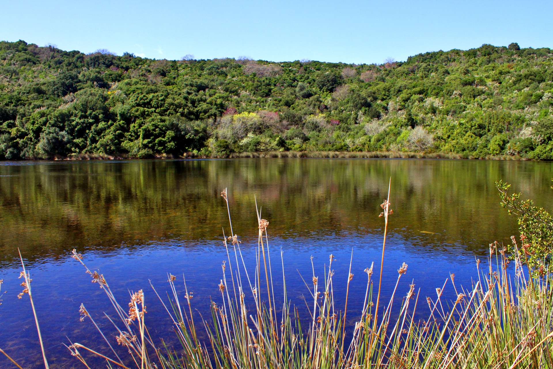 image presenting excursion Akoli Pond